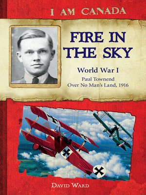 cover image of Fire in the Sky